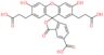 2-[2,7-bis(2-carboxyethyl)-6-hydroxy-3-oxo-3H-xanthen-9-yl]benzene-1,4-dicarboxylic acid