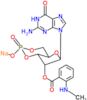 [8-(2-amino-6-oxo-1H-purin-9-yl)-9-(2-methylaminobenzoyl)oxy-3-oxo-2,4,7-trioxa-3$l^{5}-phosphabicyclo[4.3.0]nonan-3-yl]oxysodium