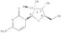 Cytidine-2'-13C (9CI)