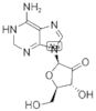 2′-Deoxy-2,3-dihydro-2-oxoadenosine