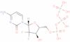 2',2'-difluorodeoxycytidine 5'-triphosphate