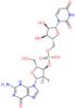 (2R,3R,4R,5R)-5-(2-amino-6-oxo-3,6-dihydro-9H-purin-9-yl)-4-fluoro-2-(hydroxymethyl)tetrahydrofura…