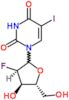 2'-deoxy-2'-fluoro-5-iodouridine