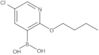 B-(2-Butoxy-5-chloro-3-pyridinyl)boronic acid