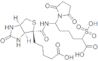 1-[6-[5-[(3aR,6S,6aR)-2-oxo-1,3,3a,4,6,6a-hexahydrothieno[3,4-d]imidazol-6-yl]pentanoylamino]hexanoyloxy]-2,5-dioxo-pyrrolidine-3-sulfonic acid