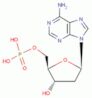 2'-deoxyadenosine 5'-(dihydrogen phosphate)
