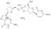 2'-deoxycytidylyl(3'5')-2'-*deoxyguanosine ammoni