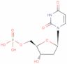 2'-Deoxyuridine-5'-monophosphoric acid = dUMP