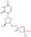 2'-deoxyuridine 5'-(trihydrogen diphosphate)