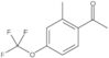 1-[2-Methyl-4-(trifluoromethoxy)phenyl]ethanone