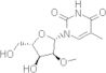 2'-O-Méthyl-5-Méthyluridine