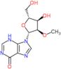 2'-O-methylinosine