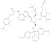 DMT-2'O-TBDMS-RA(TAC) AMIDITE 0.5G AB