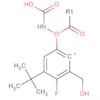 Carbamic acid, [4-fluoro-3-(hydroxymethyl)phenyl]-, 1,1-dimethylethylester