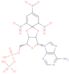 5'-O-[(phosphonooxy)phosphinato]-2',3'-O-(2,4,6-trinitrocyclohexa-2,4-diene-1,1-diyl)adenosine