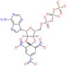 2',3'-O-[6-(dioxido-lambda~5~-azanylidene)-2,4-dinitrocyclohexa-2,4-diene-1,1-diyl]-5'-O-({[(phosp…