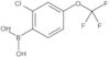 B-[2-Chloro-4-(trifluoromethoxy)phenyl]boronic acid