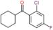 (2-chloro-4-fluoro-phenyl)-cyclohexyl-methanone