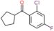 (2-chloro-4-fluoro-phenyl)-cyclopentyl-methanone