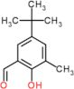 5-(1,1-Dimethylethyl)-2-hydroxy-3-methylbenzaldehyde