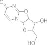 2,2'-cyclouridine