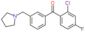 Methanone, (2-chloro-4-fluorophenyl)[3-(1-pyrrolidinylmethyl)phenyl]-