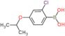[2-chloro-4-(propan-2-yloxy)phenyl]boronic acid