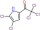 2,2,2-trichloro-1-(4,5-dichloro-1H-pyrrol-2-yl)ethanone