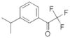 Ethanone, 2,2,2-trifluoro-1-[3-(1-methylethyl)phenyl]- (9CI)