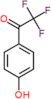 2,2,2-trifluoro-1-(4-hydroxyphenyl)ethanone