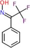 (1Z)-2,2,2-trifluoro-1-phenylethanone oxime