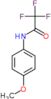 2,2,2-trifluoro-N-(4-methoxyphenyl)acetamide