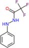 2,2,2-trifluoro-N'-phenylacetohydrazide