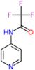 2,2,2-trifluoro-N-pyridin-4-ylacetamide