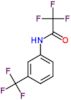 2,2,2-trifluoro-N-[3-(trifluoromethyl)phenyl]acetamide