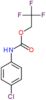 2,2,2-trifluoroethyl (4-chlorophenyl)carbamate