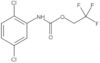 2,2,2-Trifluoroethyl N-(2,5-dichlorophenyl)carbamate