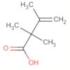 3-Butenoic acid, 2,2,3-trimethyl-