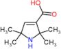 2,2,5,5-tetramethyl-2,5-dihydro-1H-pyrrole-3-carboxylic acid