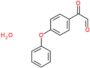 oxo(4-phenoxyphenyl)acetaldehyde hydrate