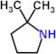 2,2-dimethylpyrrolidine