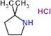 2,2-dimethylpyrrolidine hydrochloride