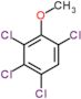 2,3,4,6-Tetrachloroanisole