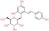2,4-dihydroxy-6-[(E)-2-(4-hydroxyphenyl)ethenyl]phenyl beta-D-allopyranoside