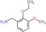 1-(2-ethoxy-3-methoxyphenyl)methanamine