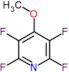 2,3,5,6-tetrafluoro-4-methoxypyridine