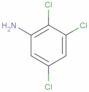 2,3,5-Trichlorobenzenamine