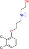 3-(2,3-dichlorophenoxy)-N-(2-hydroxyethyl)propan-1-aminium
