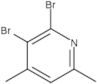 2,3-Dibromo-4,6-dimethylpyridine