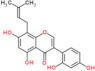 3-(2,4-Dihydroxyphenyl)-5,7-dihydroxy-8-(3-methyl-2-buten-1-yl)-4H-1-benzopyran-4-one